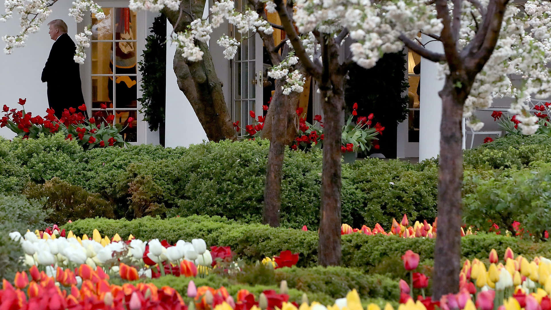 Magnificent View of the White House Rose Garden