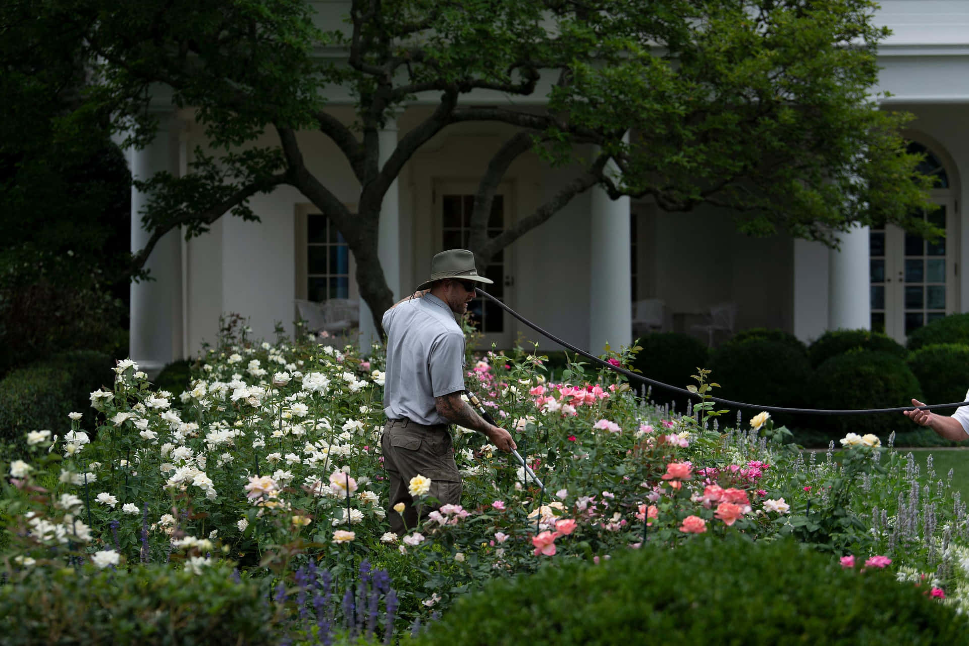 The White House Rose Garden