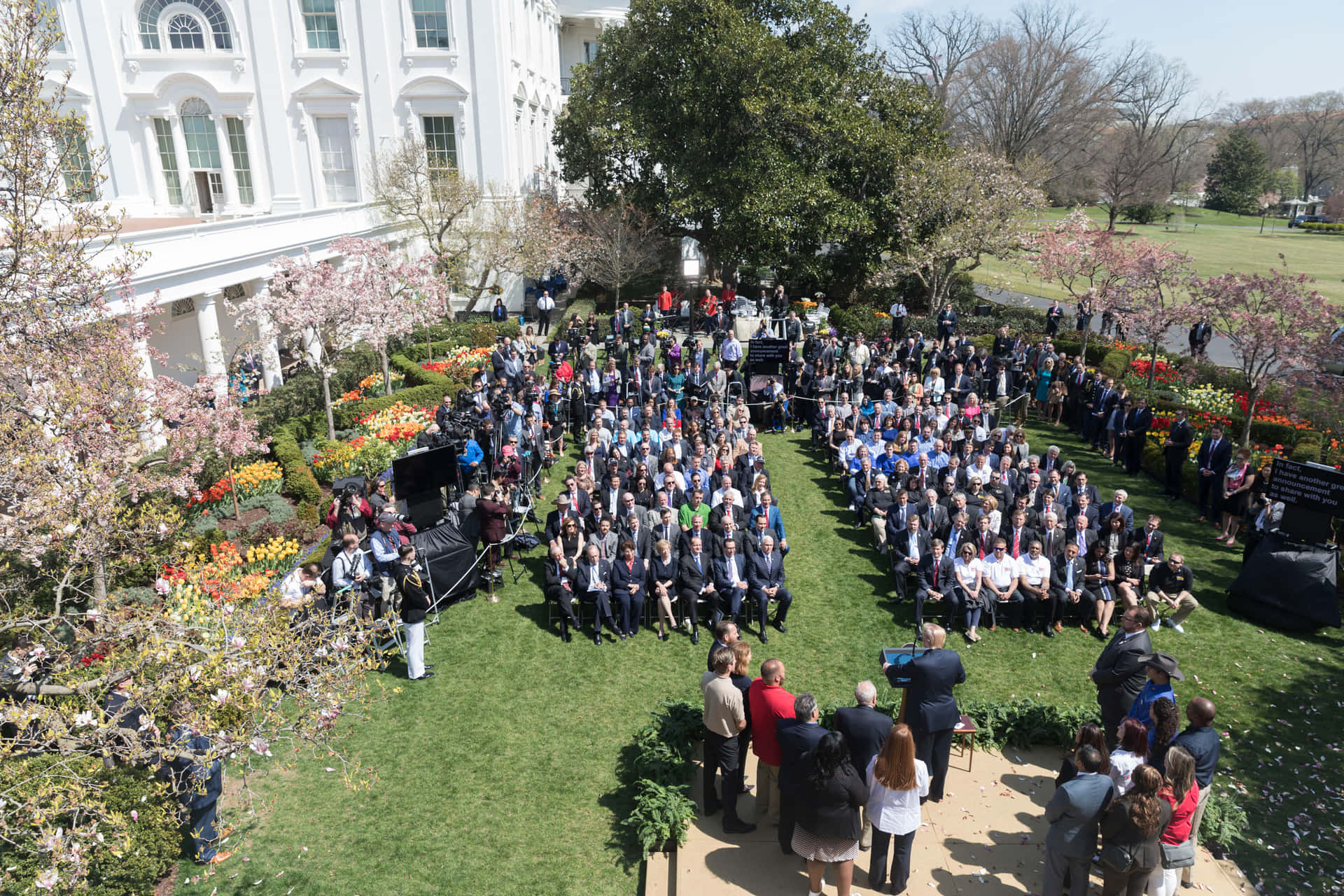 White House Rose Garden Pictures 3000 X 2000
