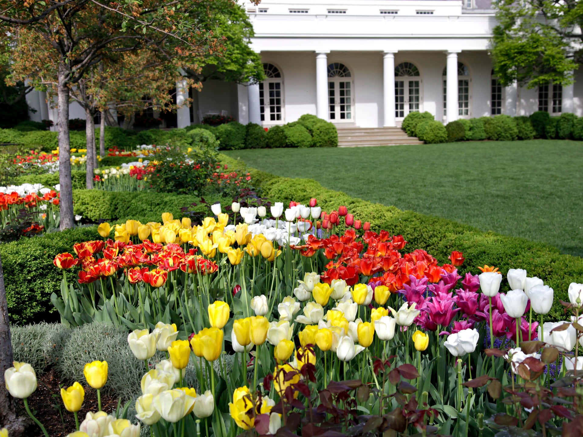 An aerial view of the White House Rose Garden in Washington, D.C.