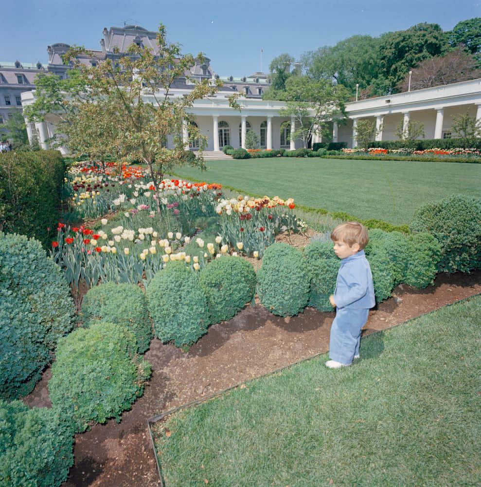 A Child Is Standing In The Garden