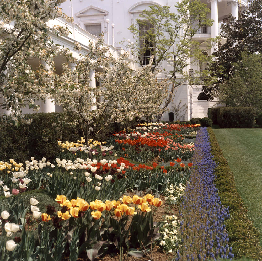 A White House With A Garden In Front Of It
