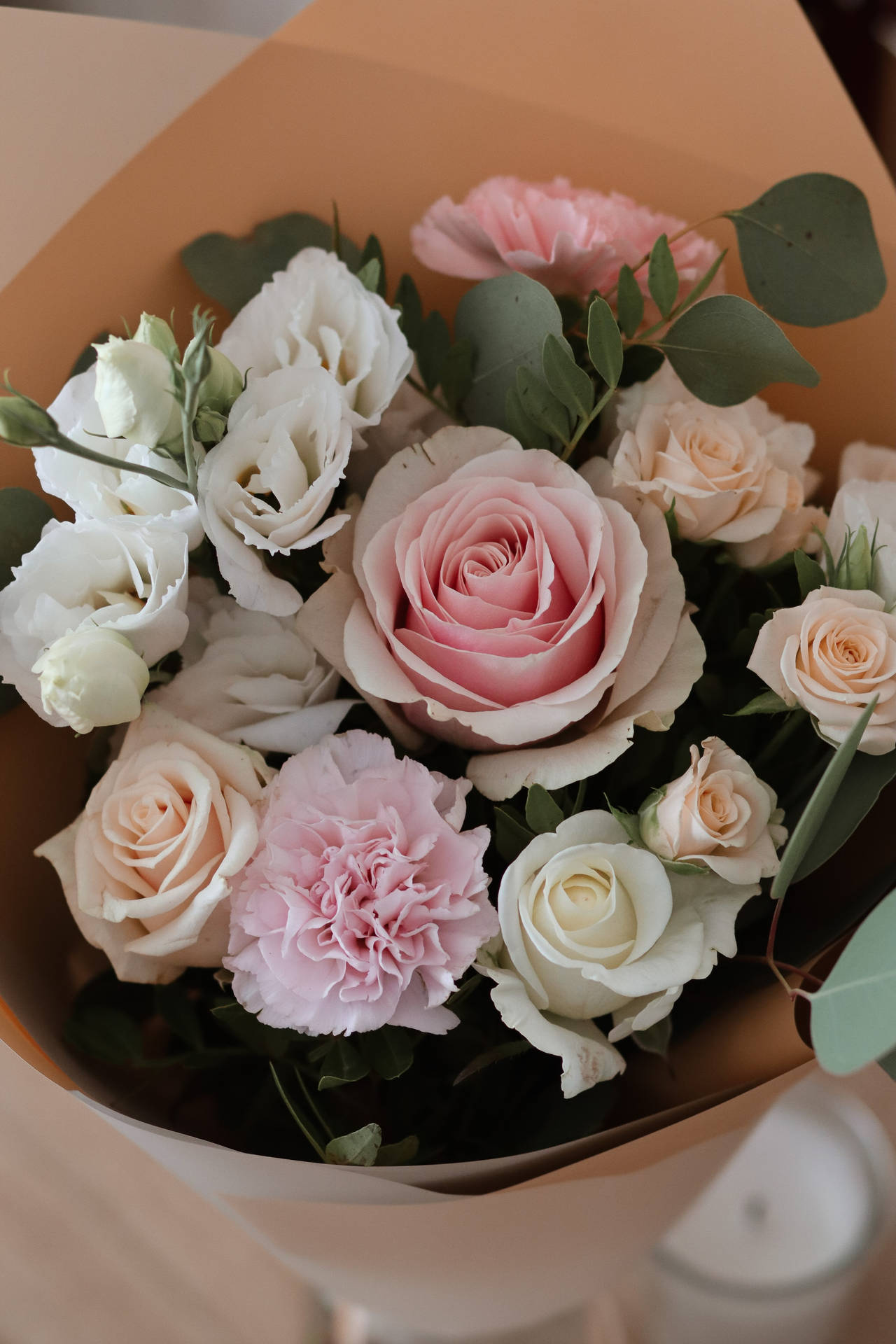 Ramode Flores De Rosas Híbridas De Té Color Chocolate Blanco Fondo de pantalla
