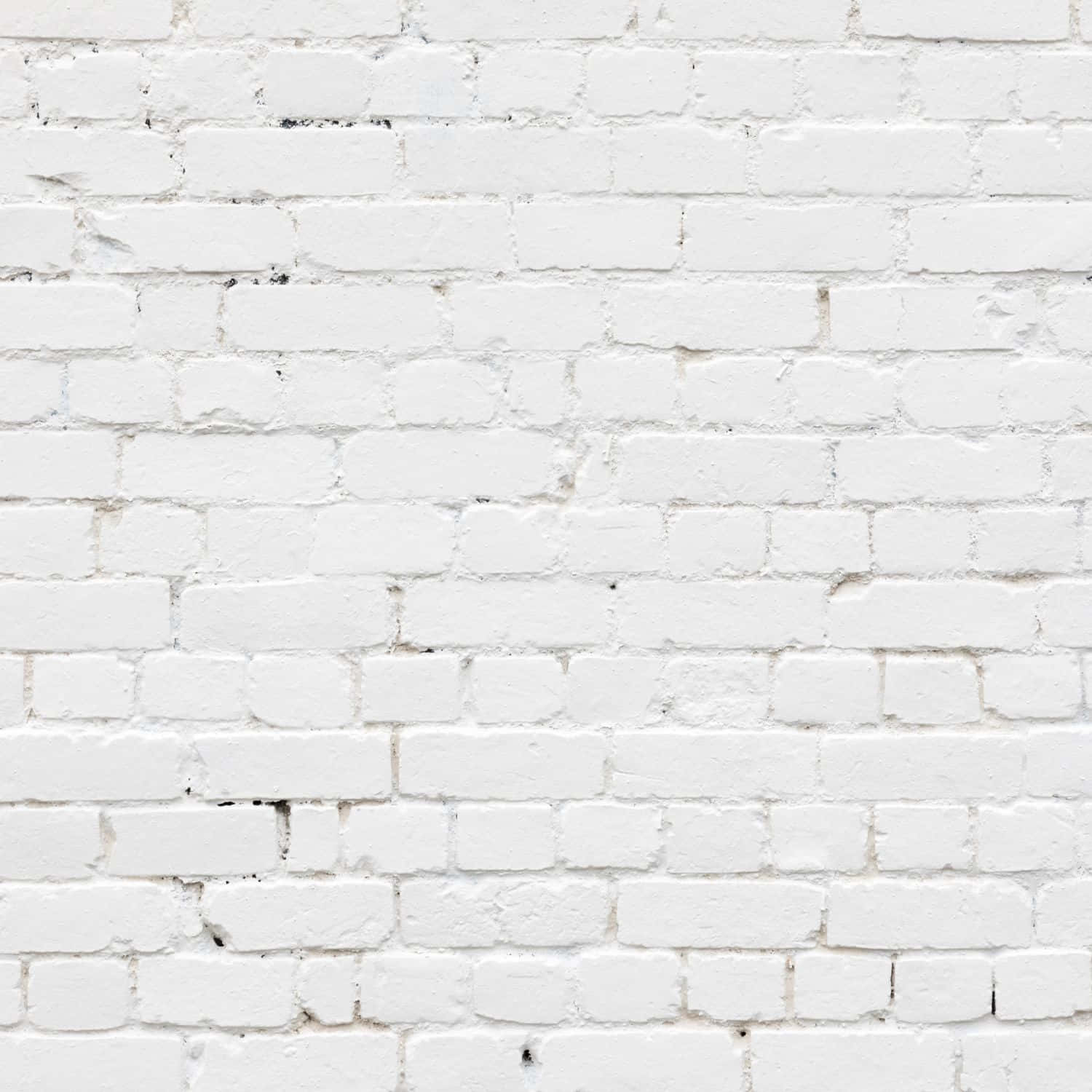 Brick Wall In White iPad Wallpaper