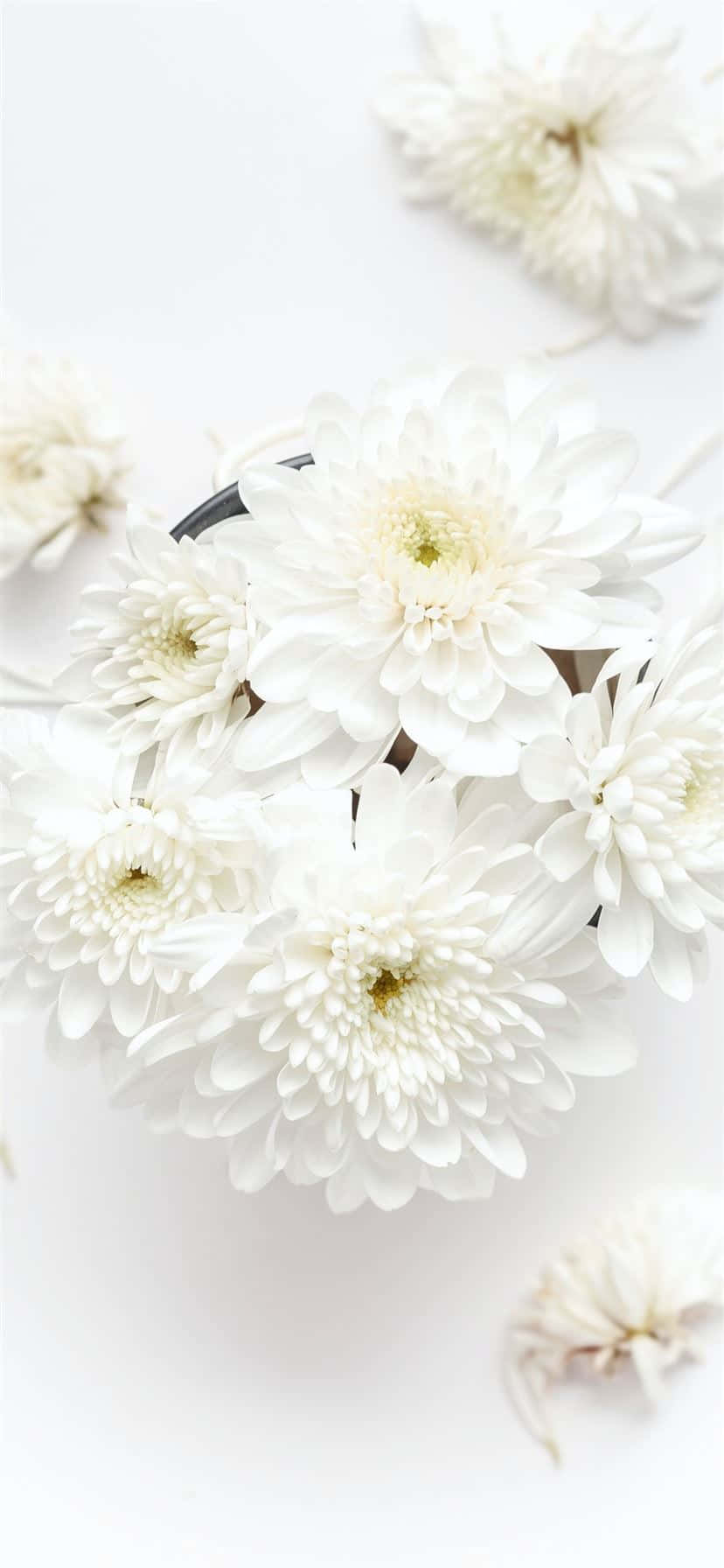 White Flowers In A Bowl On A White Surface