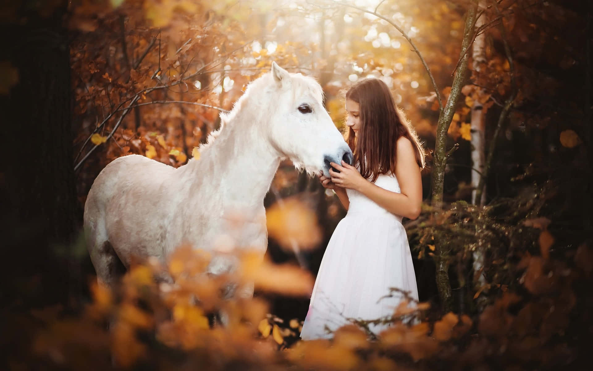 White Lady And Horse Wallpaper