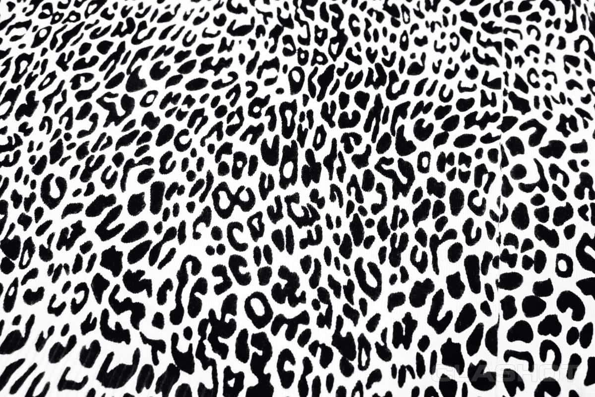 Aggiungiun Tocco Di Selvatico Al Tuo Arredamento Con Questa Elegante Stampa Di Leopardo Bianco Sfondo