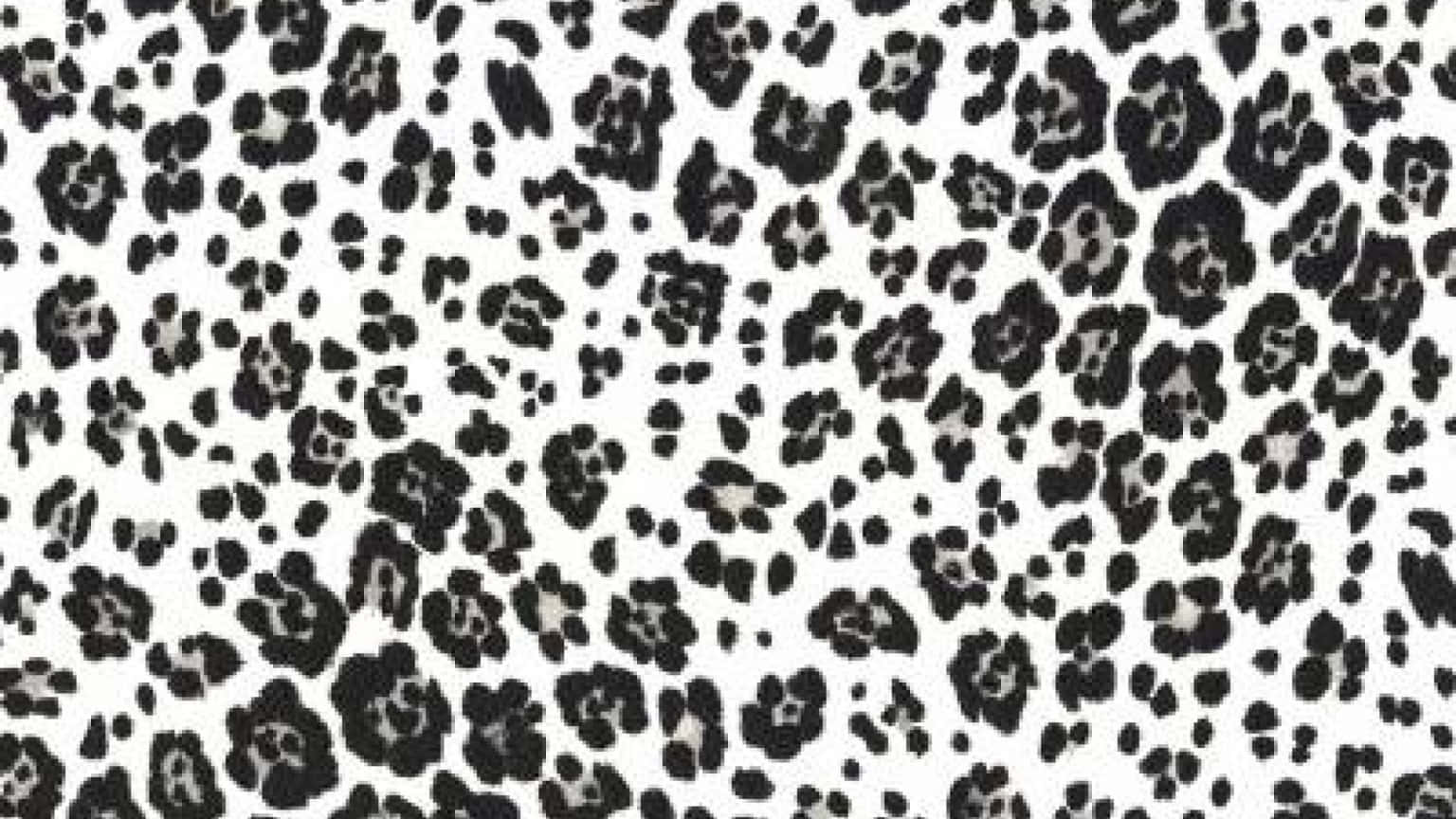 A wild white leopard print pattern on background of black. Wallpaper