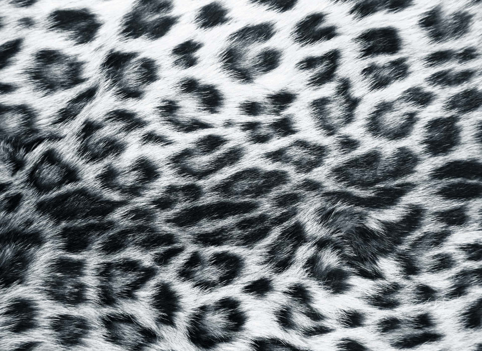 White Leopard Skin Print Wallpaper