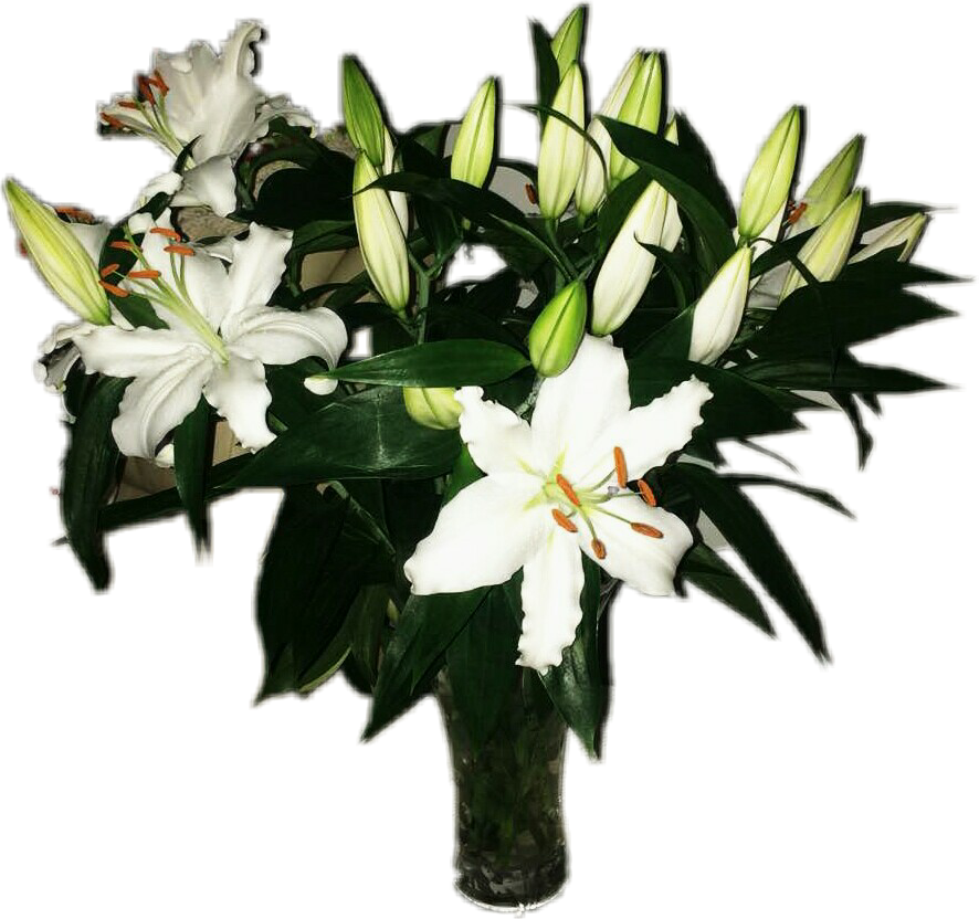 White Lily Bouquet Transparent Background PNG