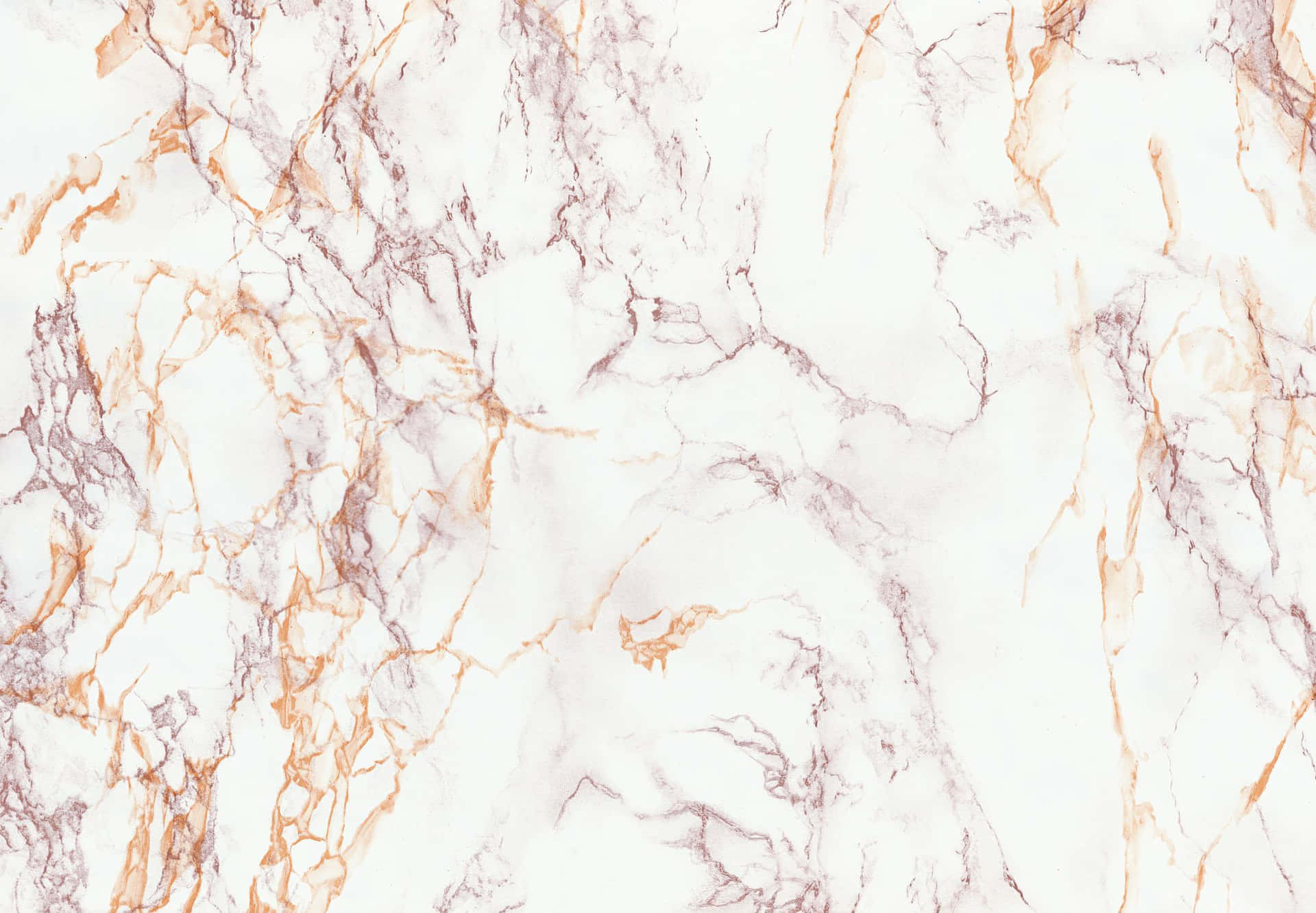 The Pure White Beauty of Marble