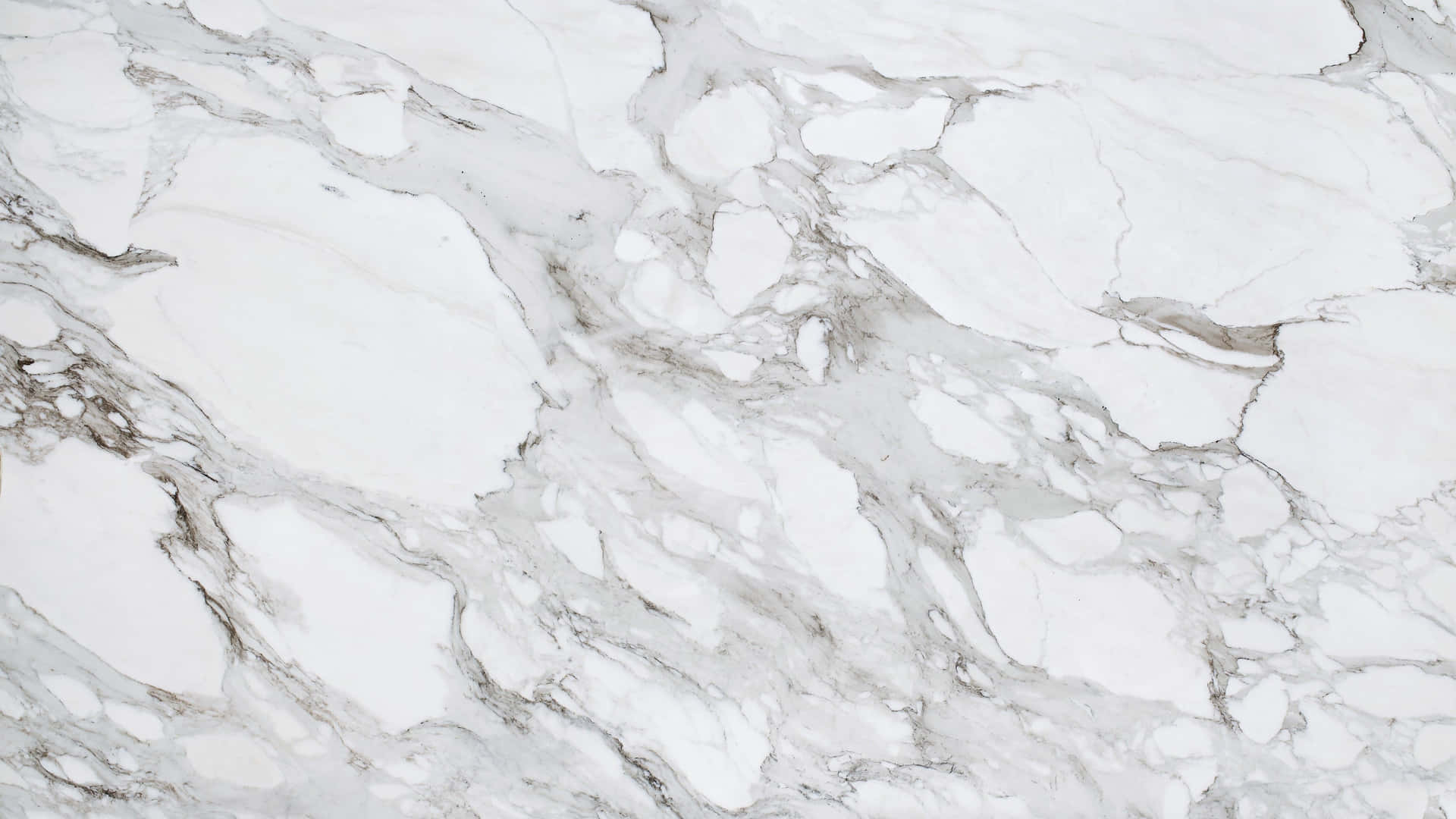 "Beautiful white marble texture creates a timeless and elegant look"