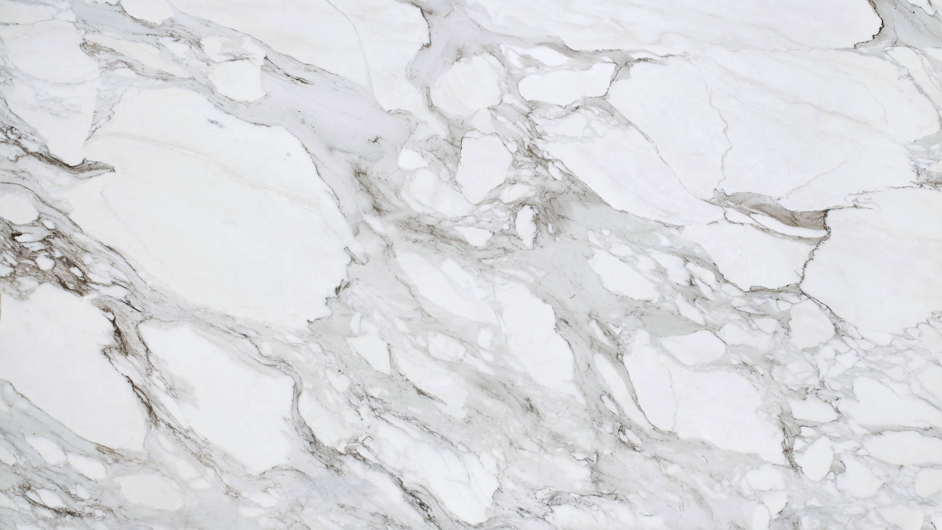 Close-up of a White Marble Stone Wallpaper