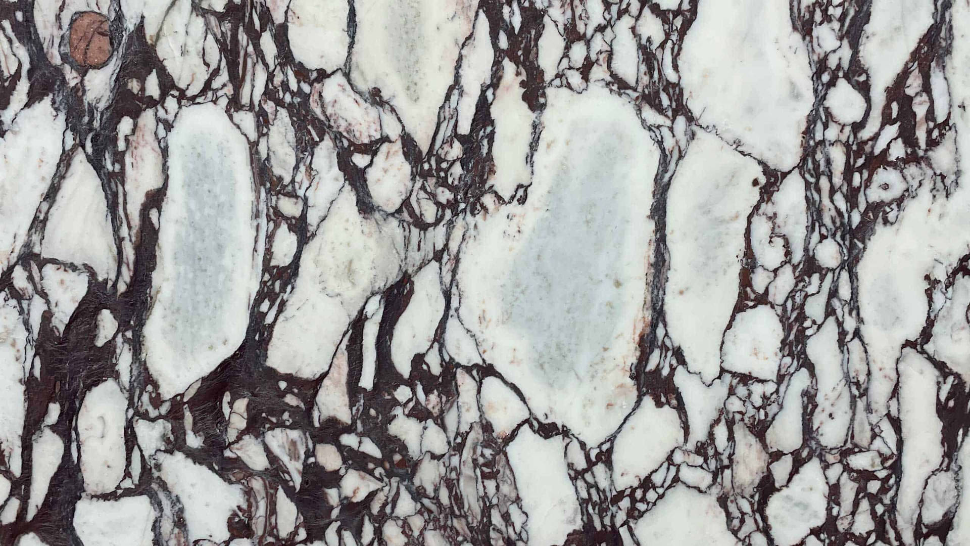 pure white marble texture
