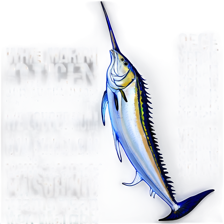 White Marlin Open Png Ypl PNG