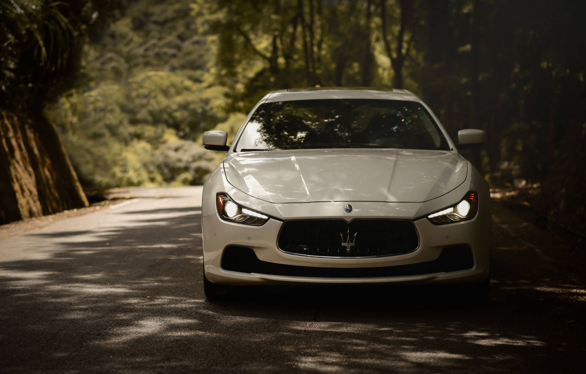 White Maserati Ghibli Forest