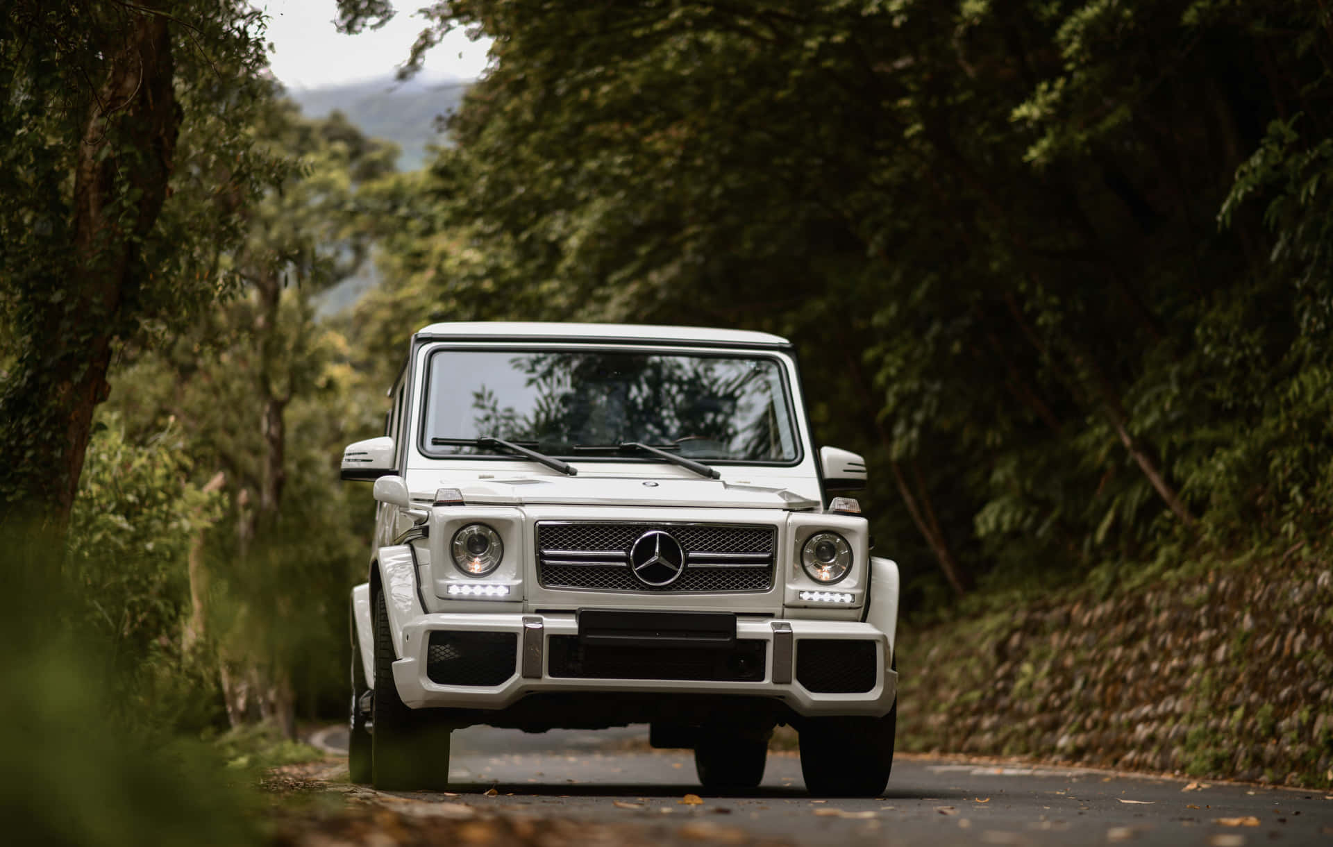 White Mercedes G Wagon Forest Road Wallpaper