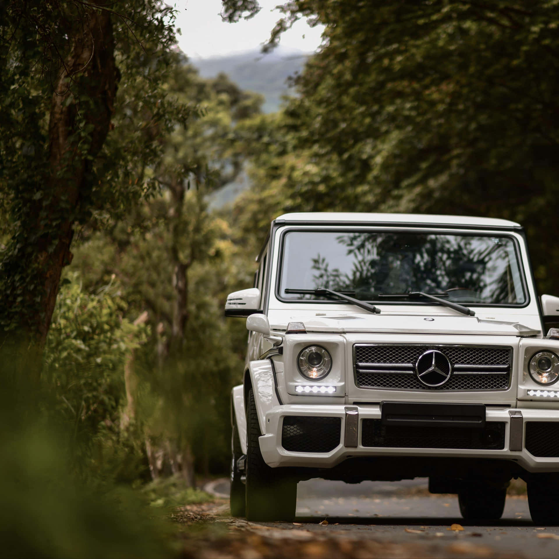 White Mercedes G Wagon Forest Road Wallpaper