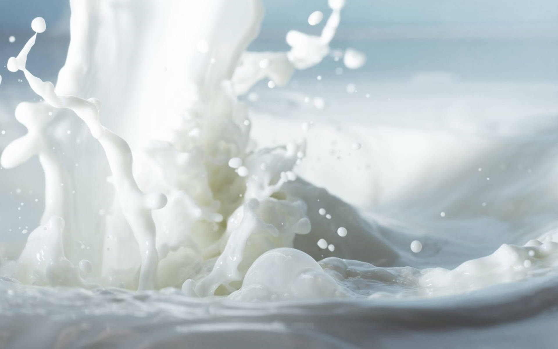 Refreshing Splatter of Pure White Milk Wallpaper