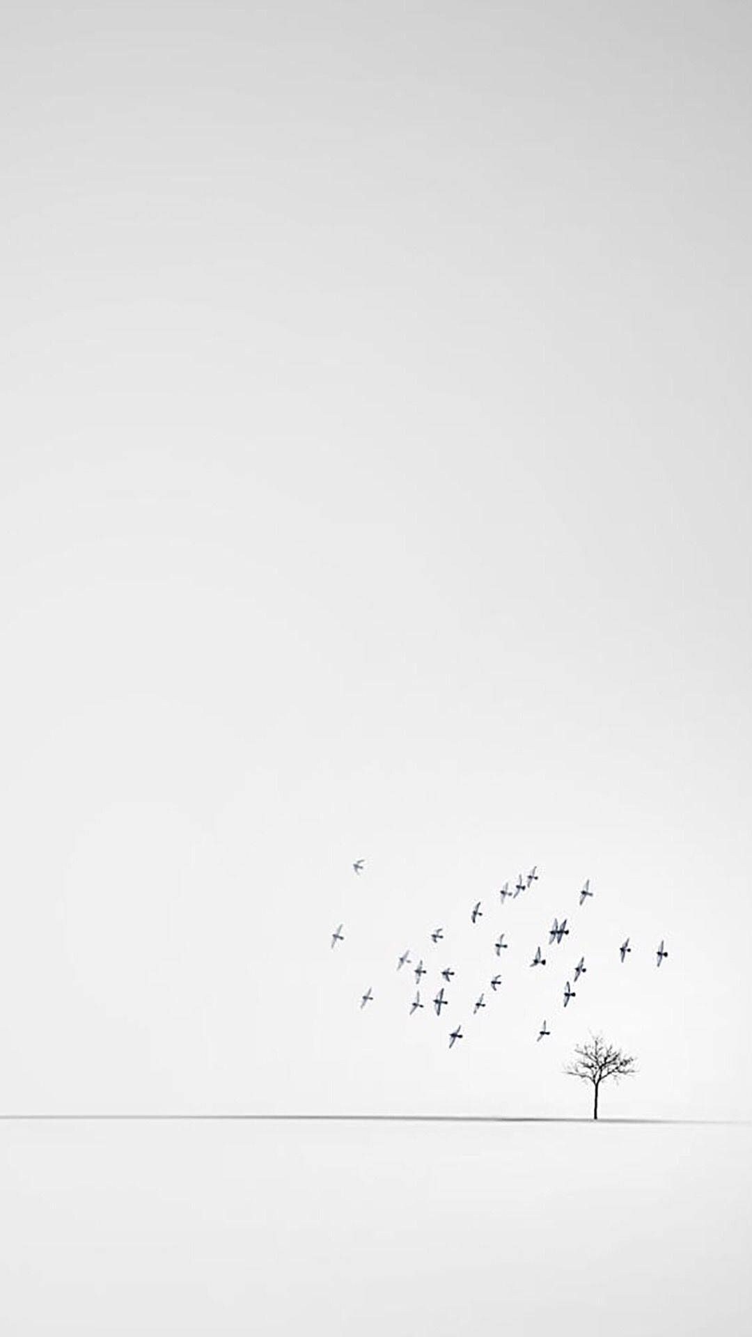 Weißeminimalistische Vogelschwarm Wallpaper