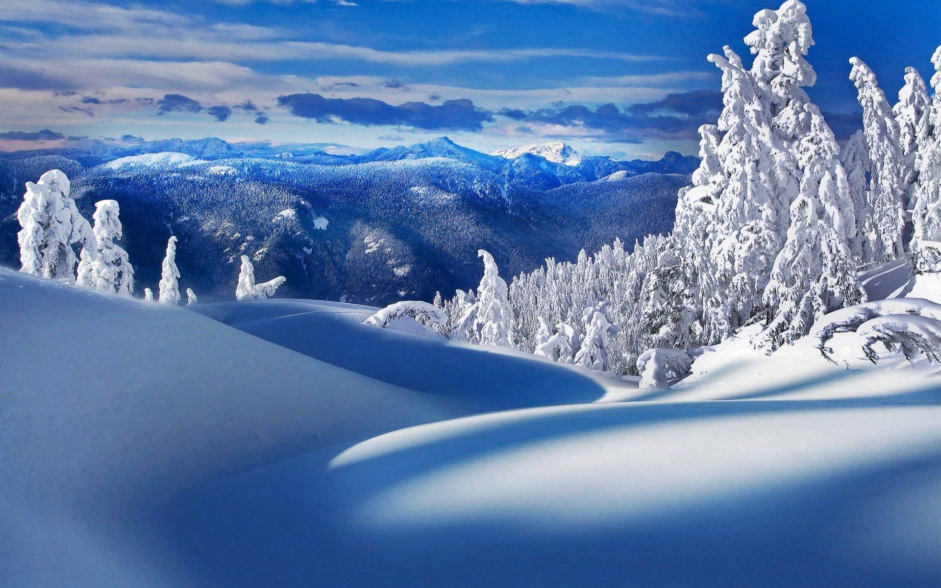 White Mountains Winter Scenery Wallpaper