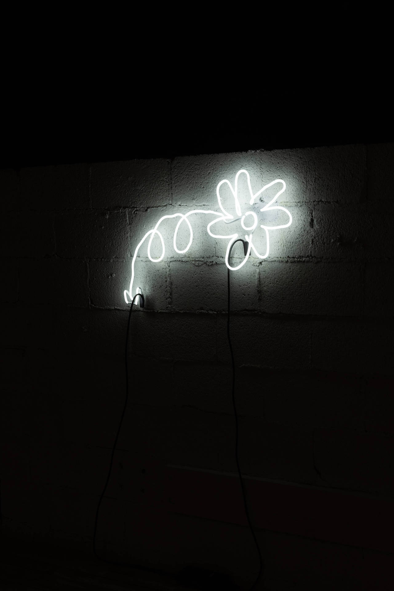 White Neon Aesthetic Flower Wallpaper