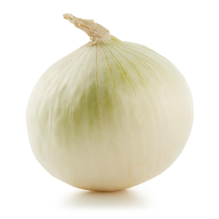 White Onion Isolated Background PNG