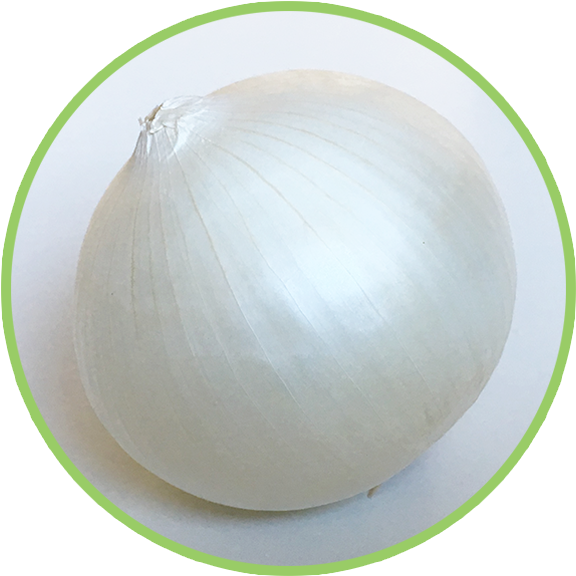 White Onion Single Item PNG