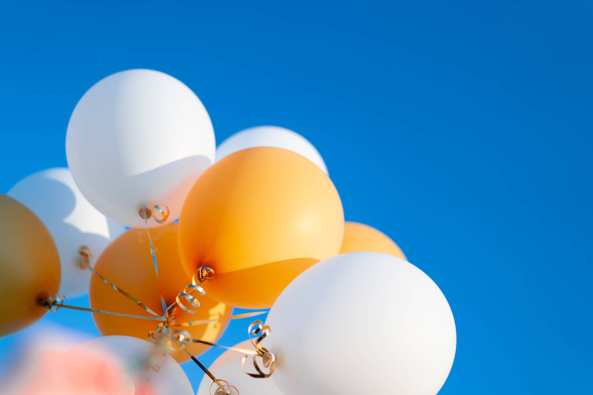 White Orange Tied Up Balloons
