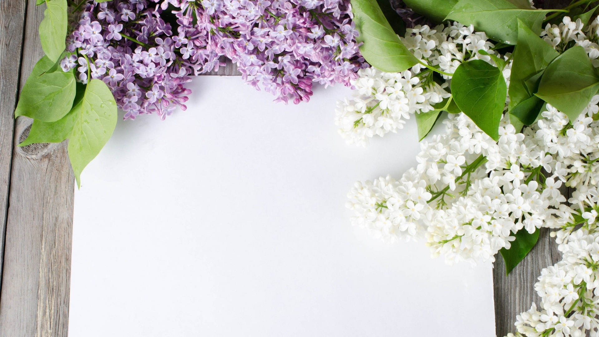 White Paper And Blooming Flower Desktop Wallpaper