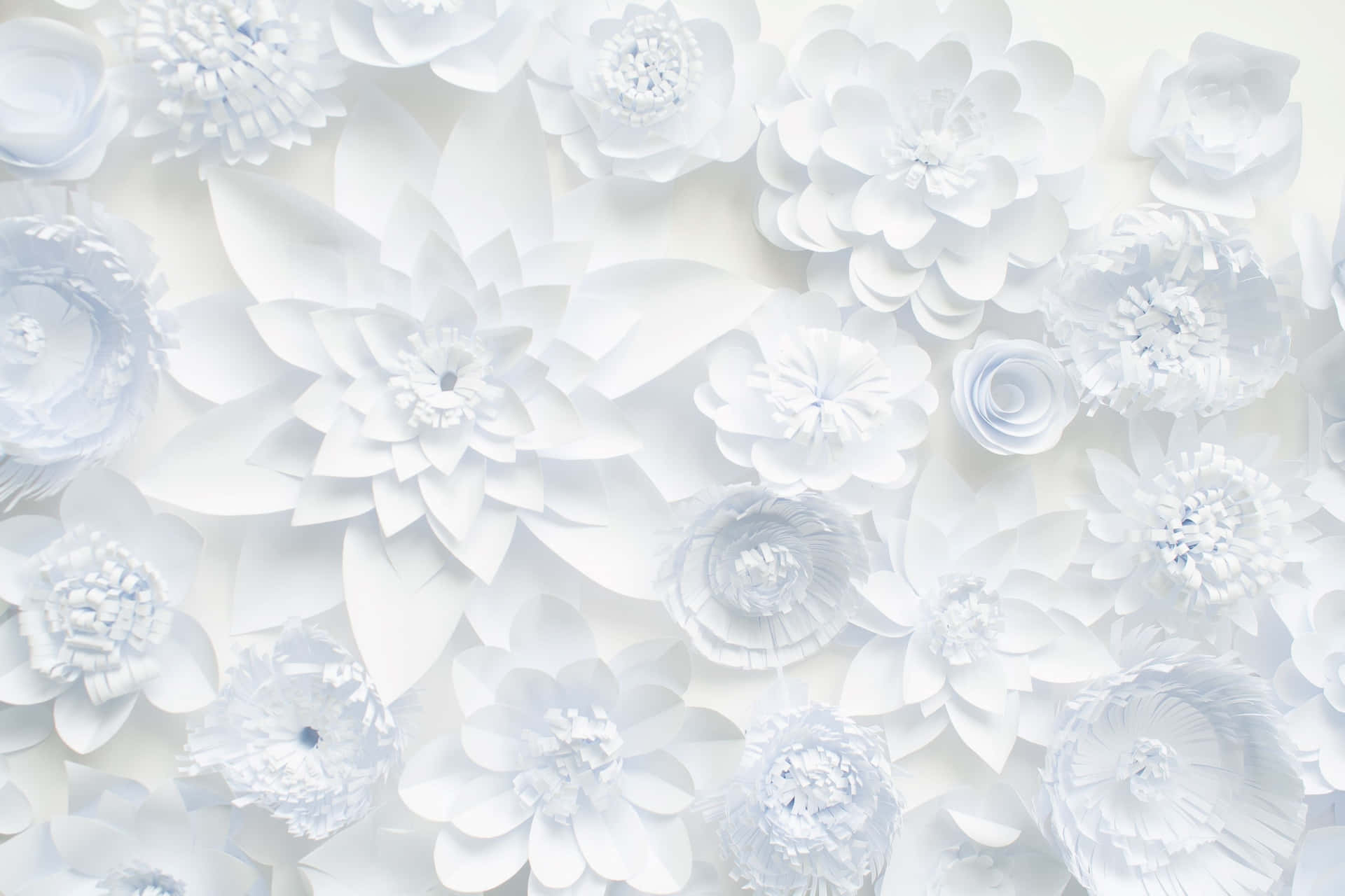 White Paper Floral Artwork Wallpaper