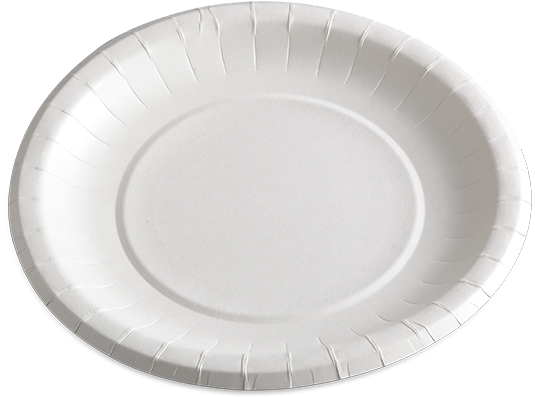 White Paper Plate Simple Design PNG
