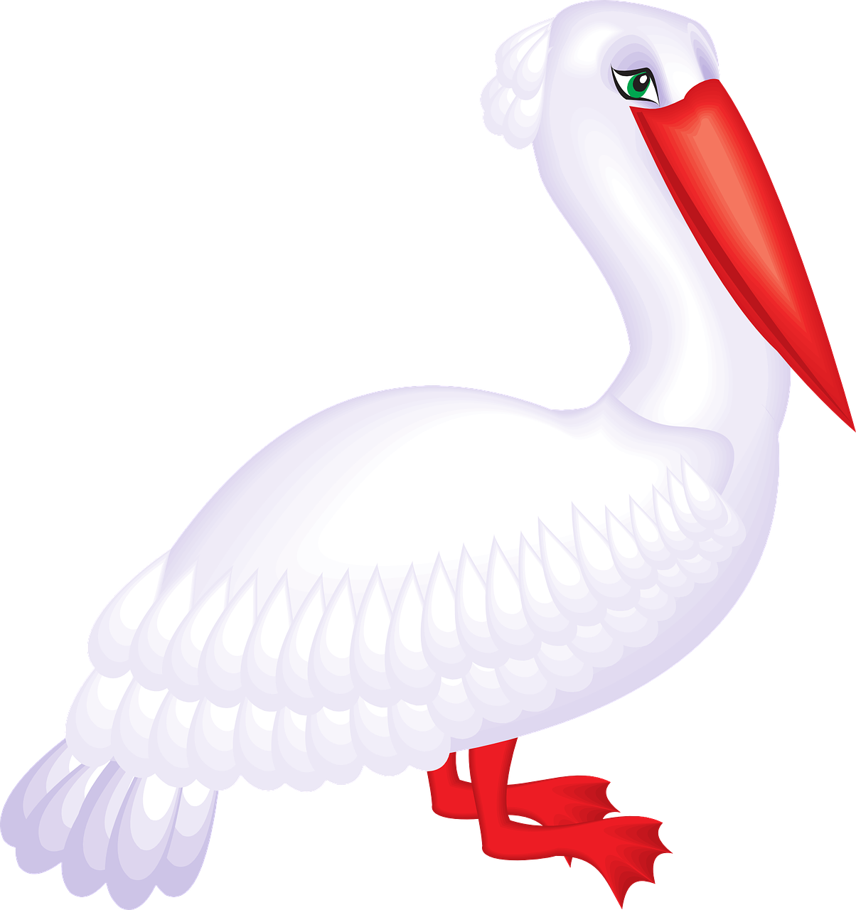 White Pelican Cartoon Illustration PNG