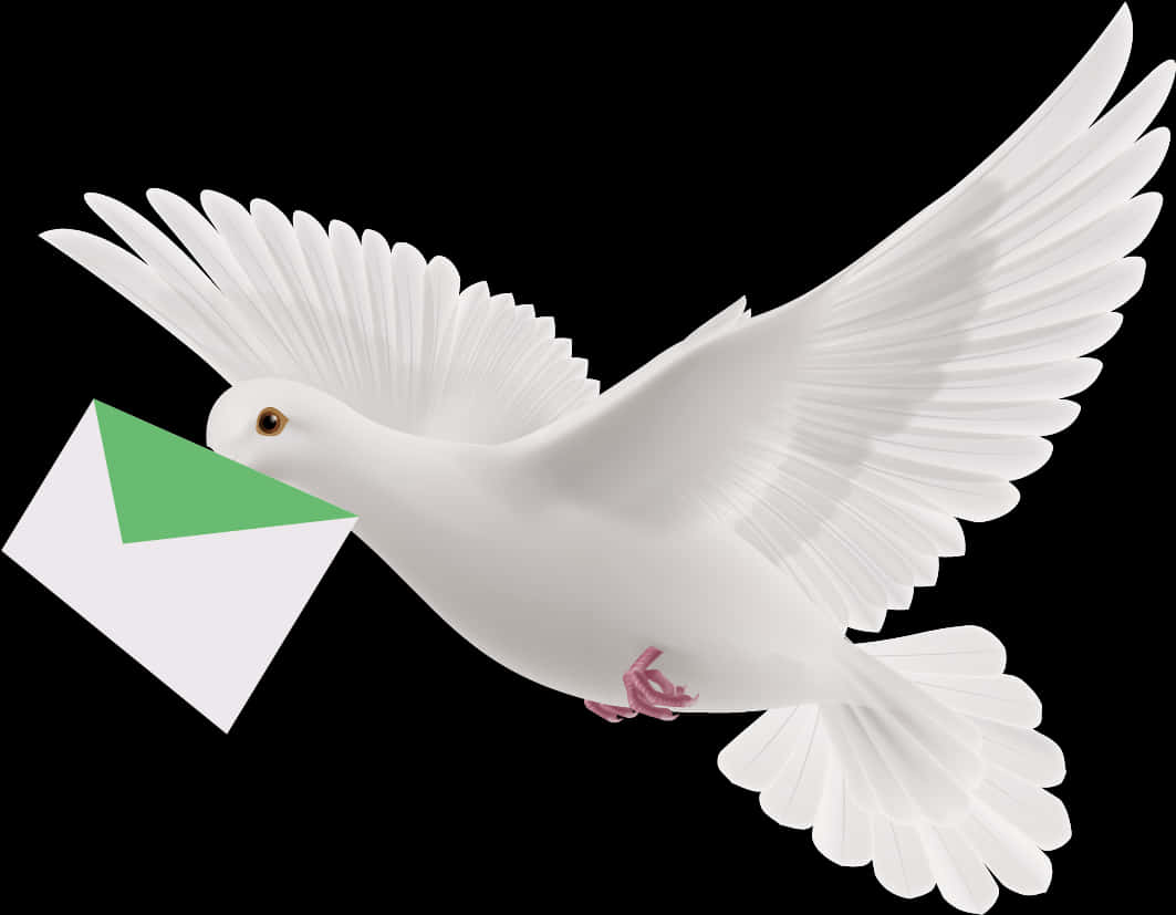 White Pigeon Carrying Letter PNG