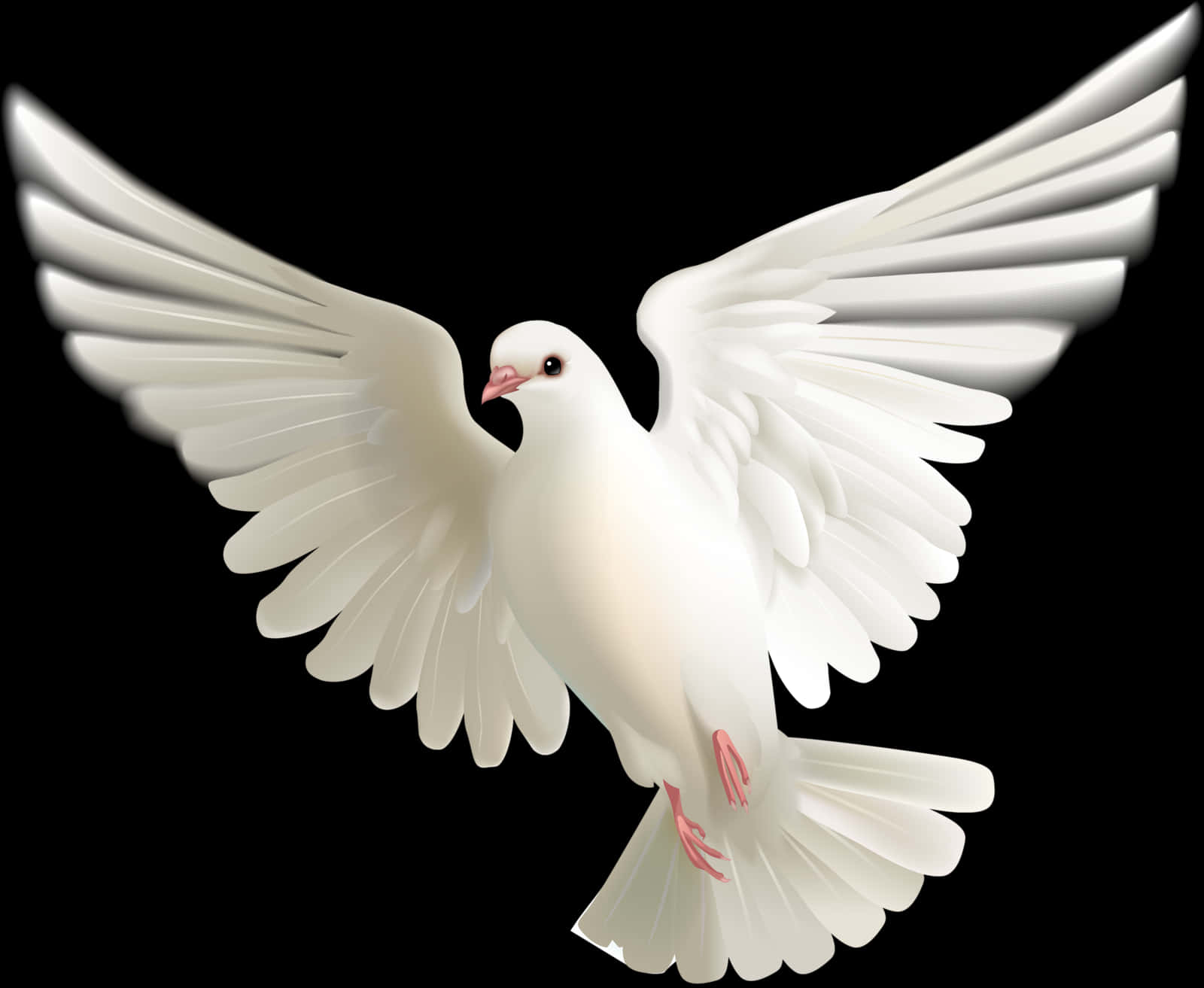 White Pigeon In Flight PNG