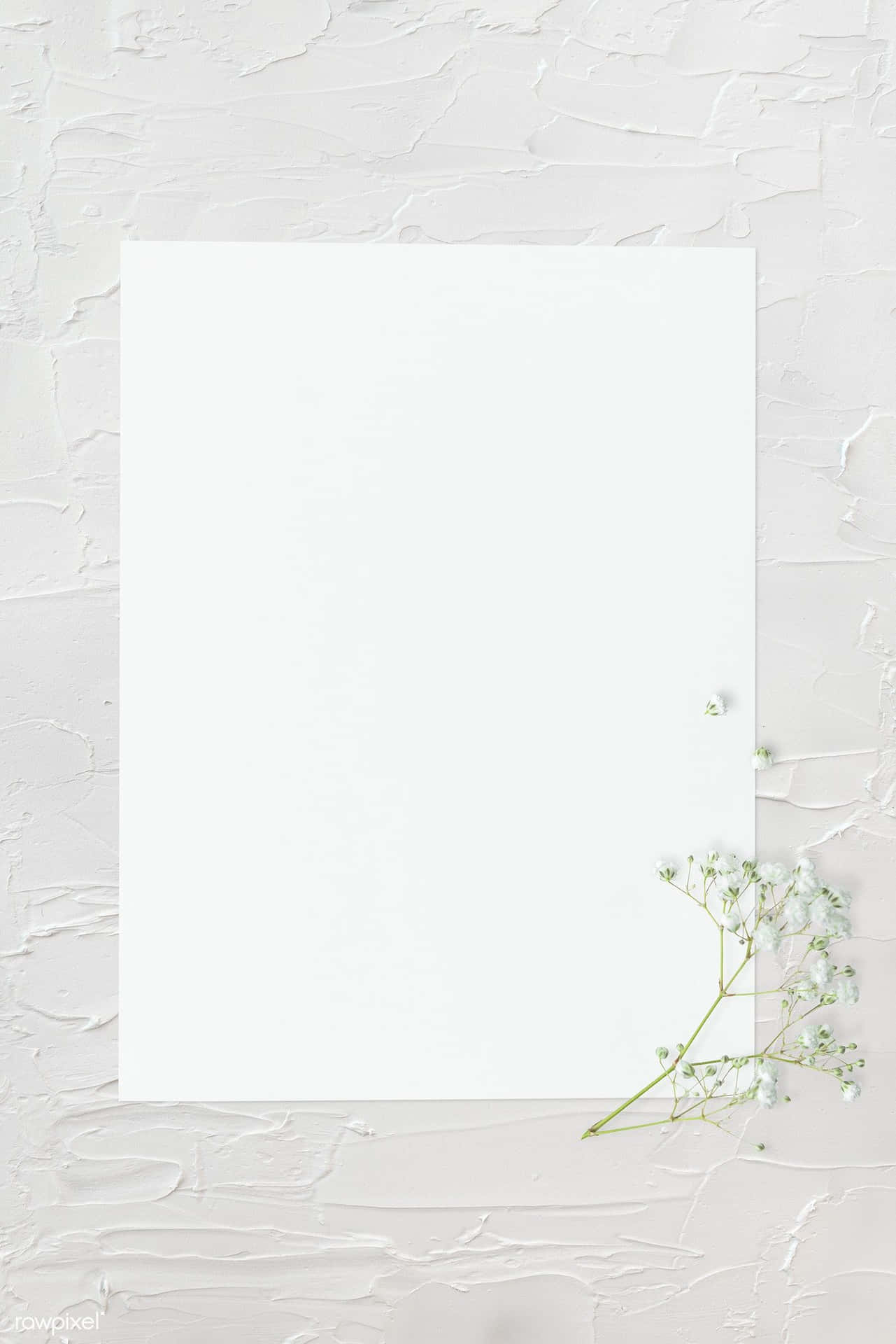 Velvet White, Plain and Simple
