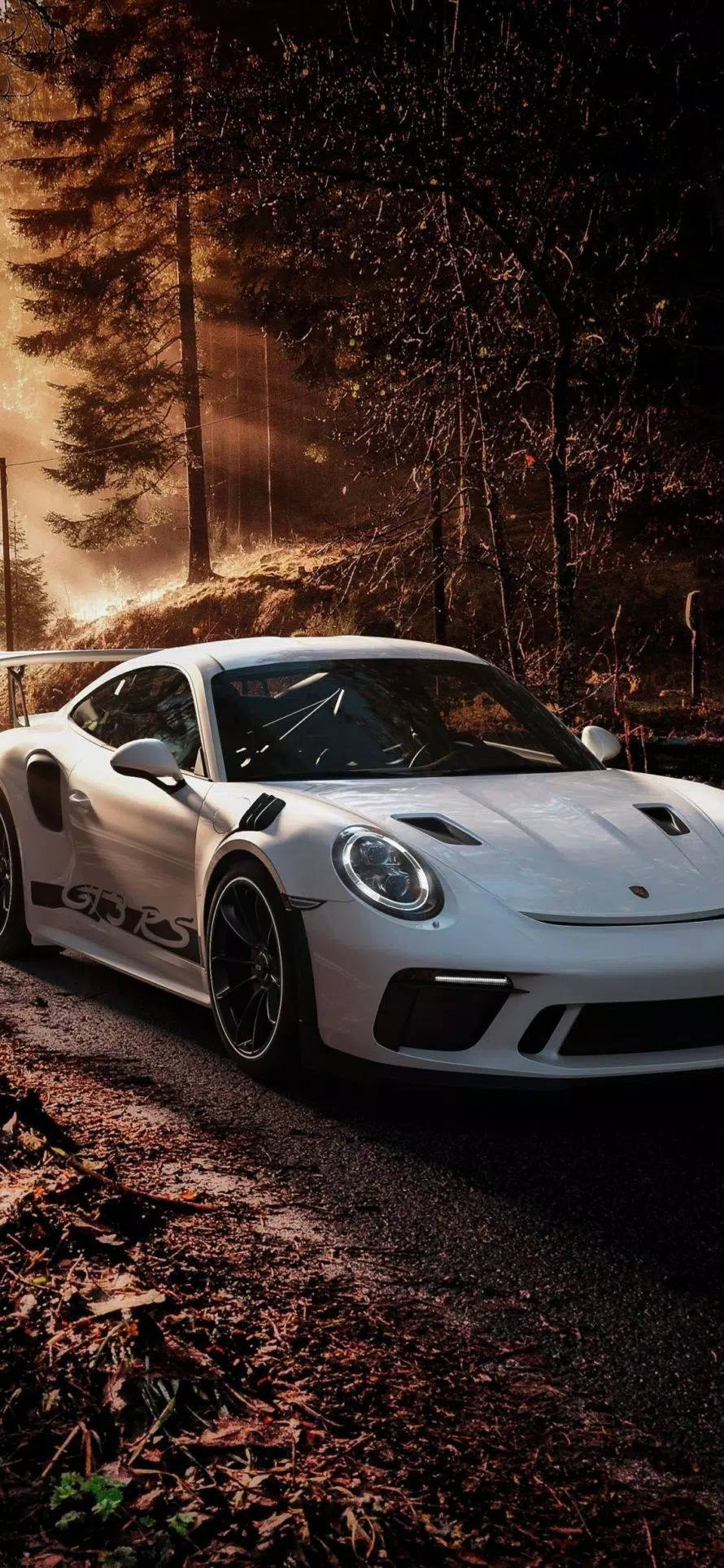 White Porsche 911 In The Forest Wallpaper