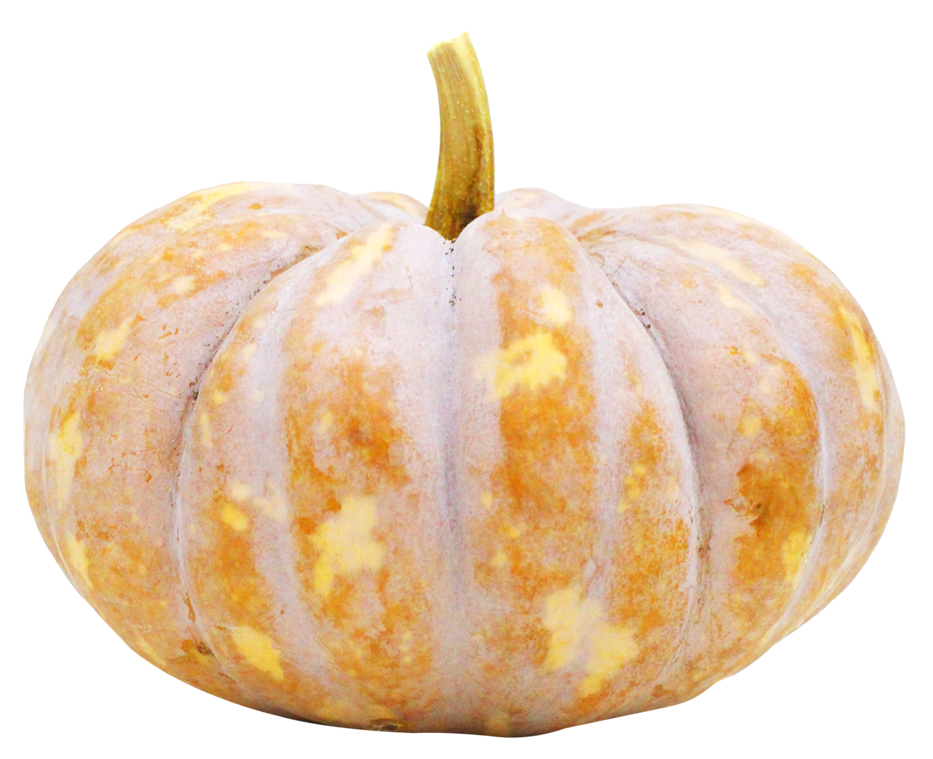 White Pumpkin Isolated Background PNG