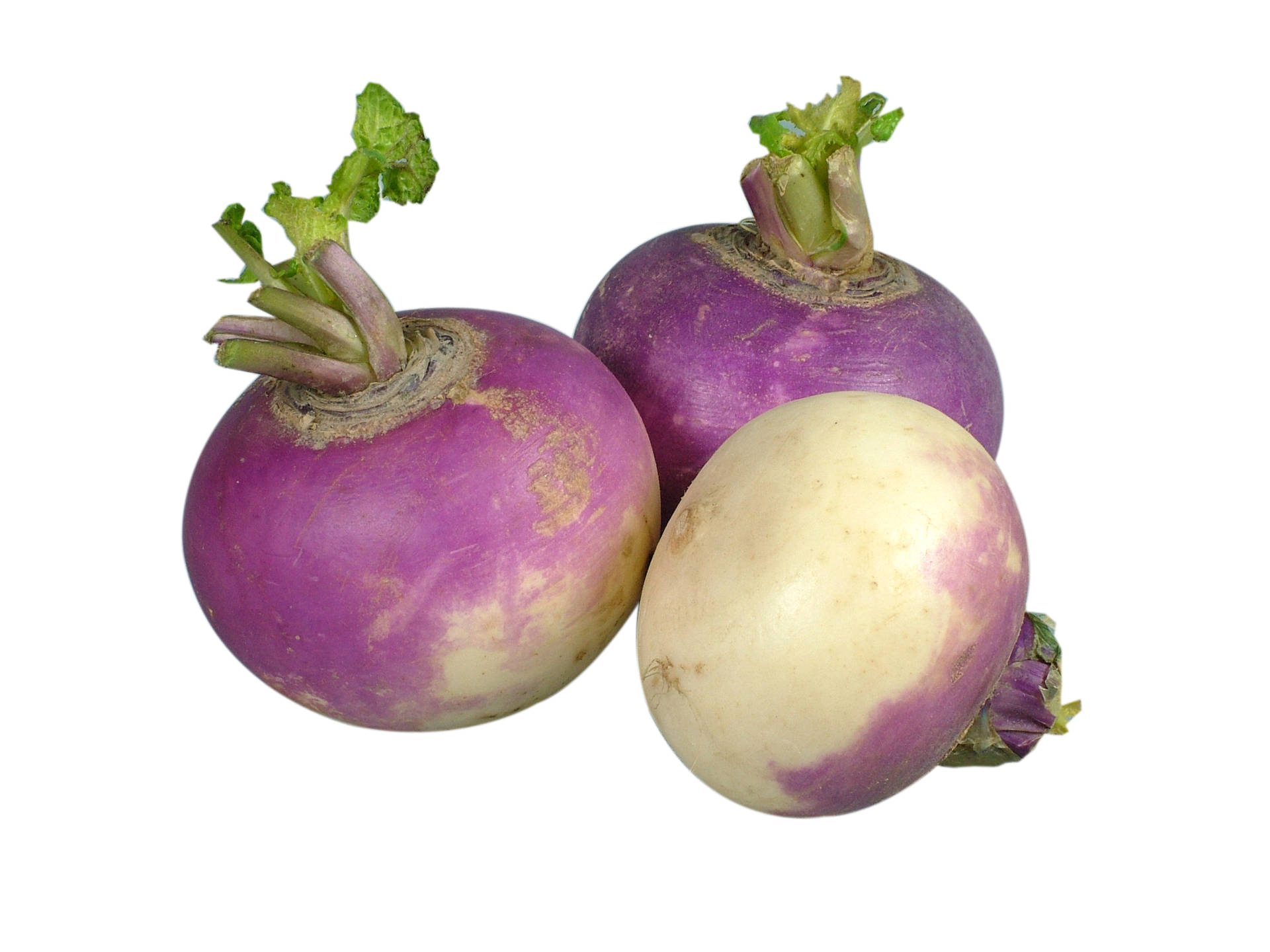White Purple Turnips Wallpaper