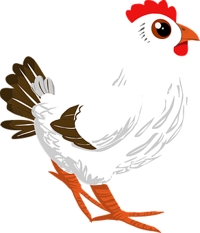 White Rooster Cartoon Illustration PNG