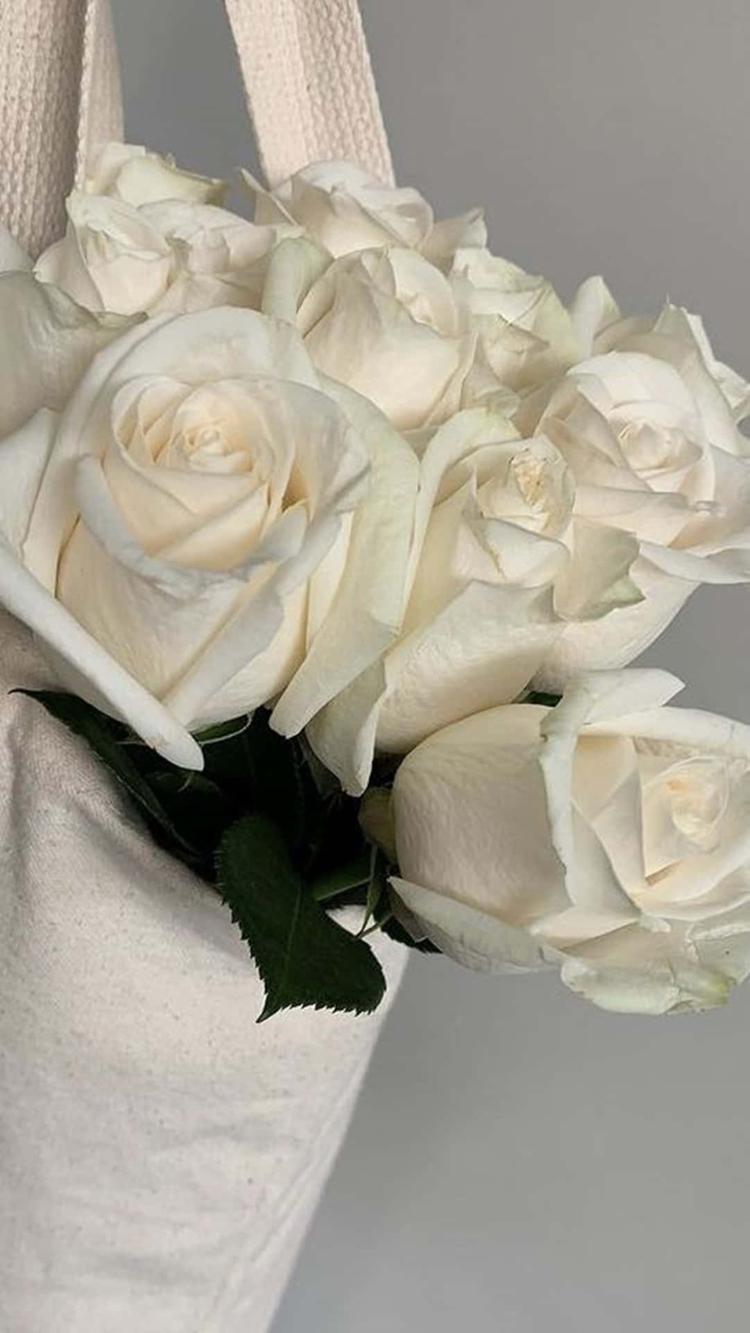 Ramosde Rosas Blancas En Una Bolsa Estética Con Retrato. Fondo de pantalla