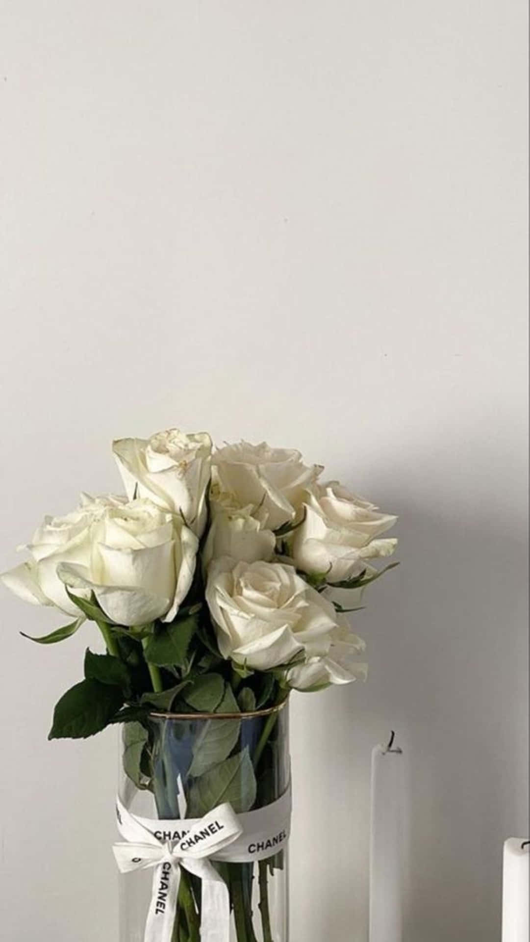 Download White Roses Aesthetic Chanel Vase Wallpaper