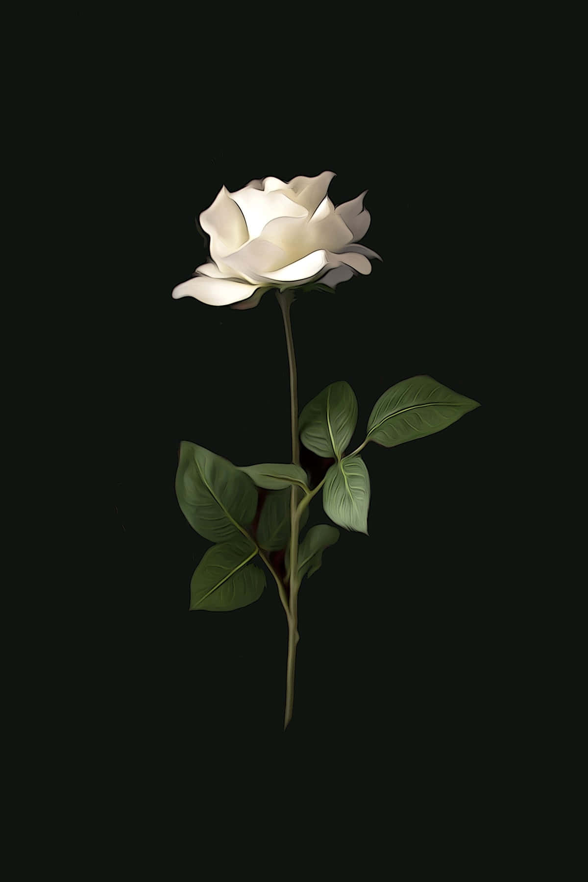 Hvid Rose Æstetisk Digital Illustration Wallpaper