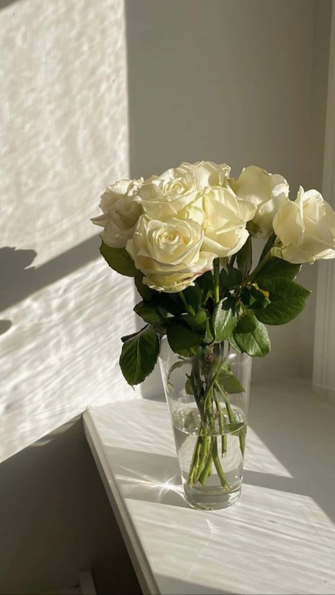 Dramatic White Roses Aesthetic Vase Wallpaper