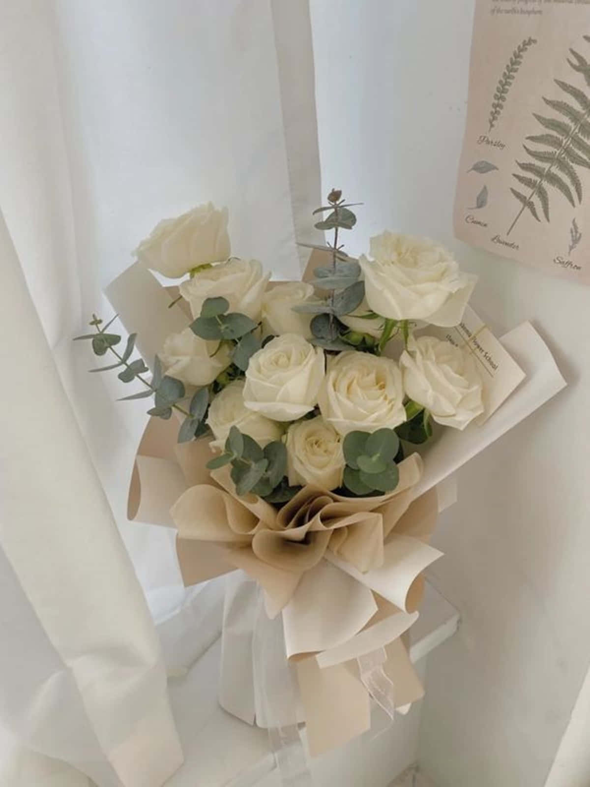 Flowers White Rose Aesthetic Bouquet Wallpaper