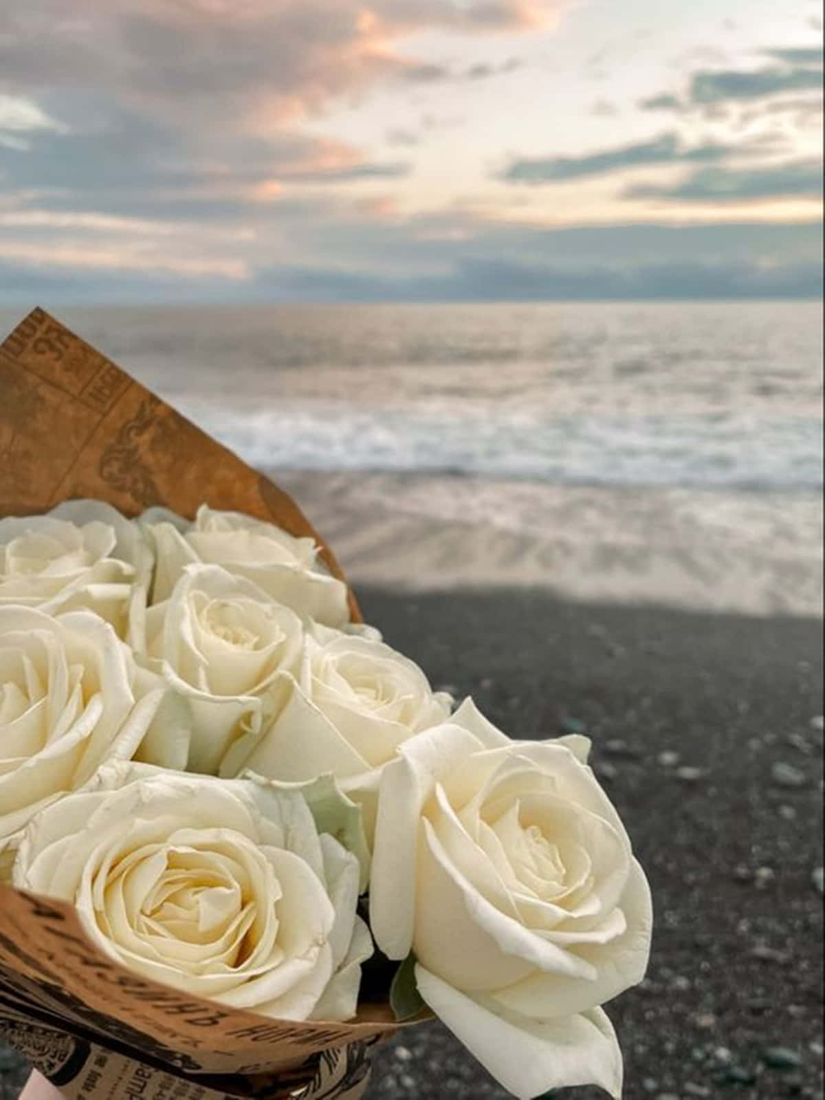 White Rose Aesthetic Bouquet Sunset Beach Wallpaper