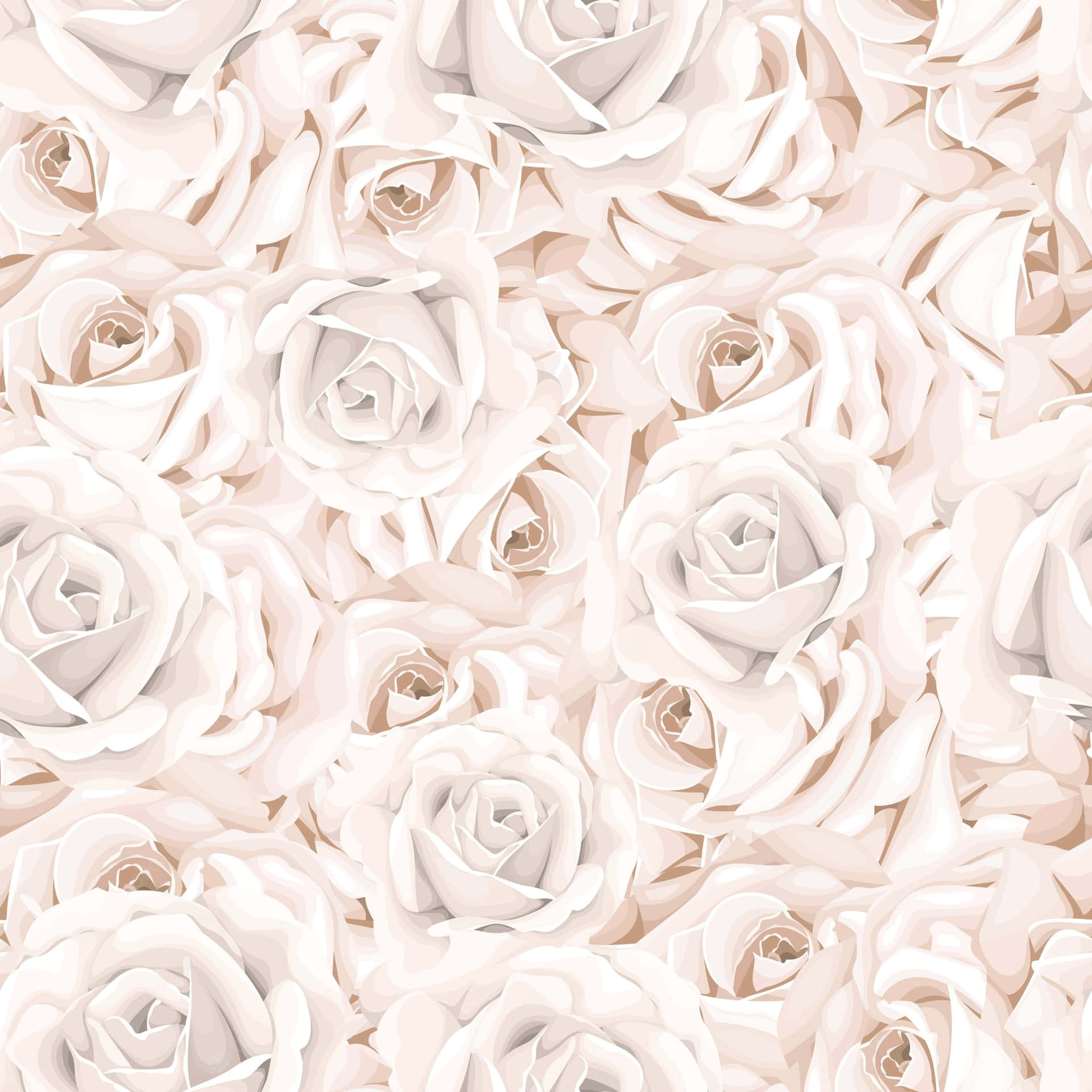 Unatranquila Rosa Blanca En Plena Floración
