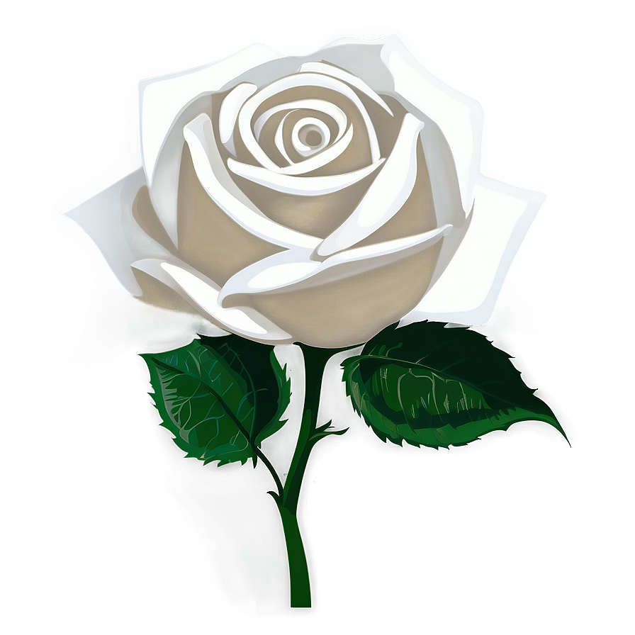 White Rose Clipart Png 21 PNG