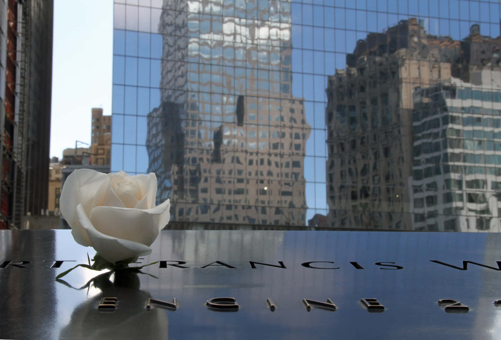 White Rose On Marble Ground Zero Wallpaper