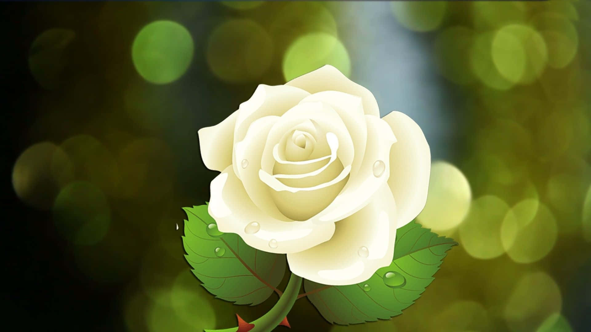 White Rose Flower Graphic Wallpaper